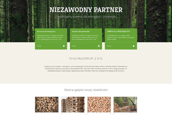 Projekt strony internetowej multon.pl